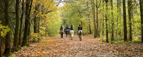 Best places to go riding in London
