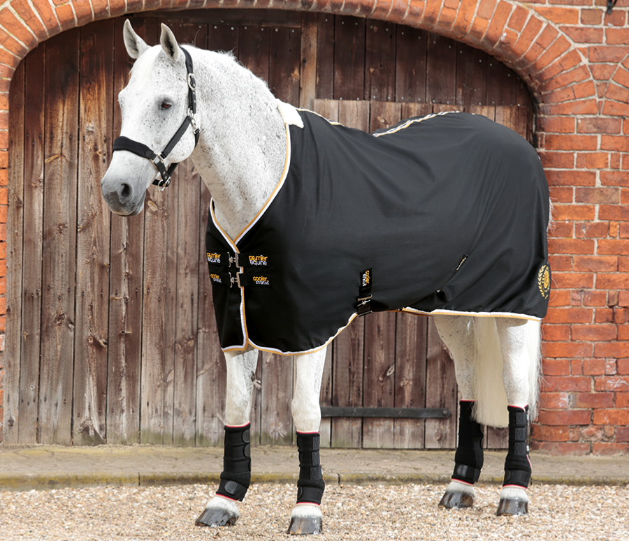 A horse standing in-front of a brick building in a rug