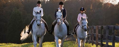 5 ways to improve your horse riding confidence