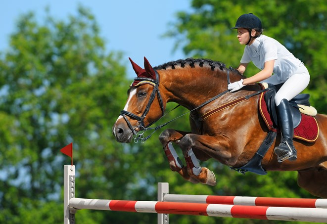 Horse and rider leaping over fence