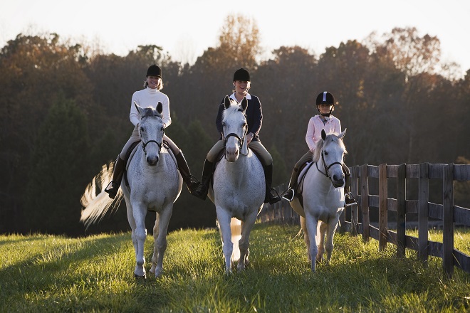 Two adults and a child riding three horses through a field