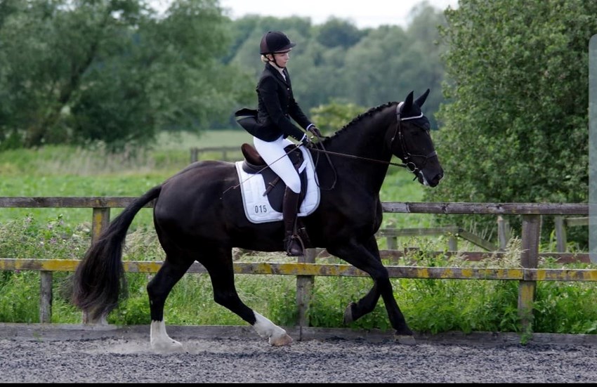 Christie riding Travis around a paddock