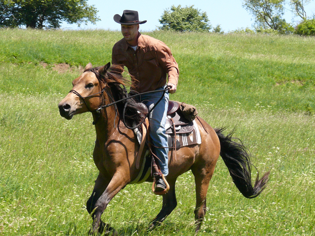 A cowboy riding through long grass in the sun