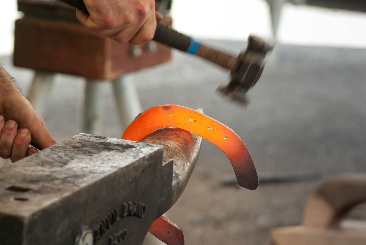 A farrier hammering a horse shoe into place