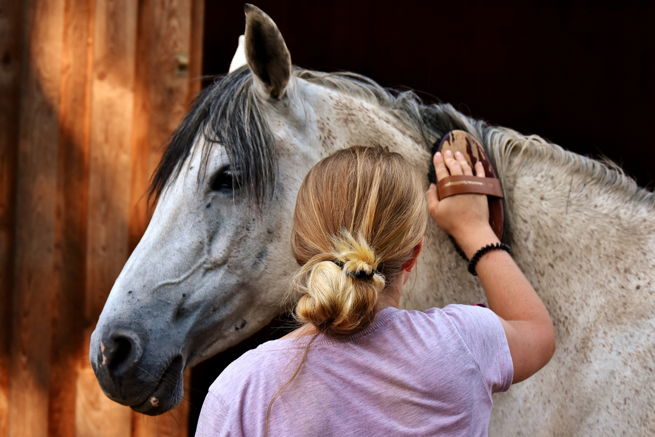 A woman grooming a horse