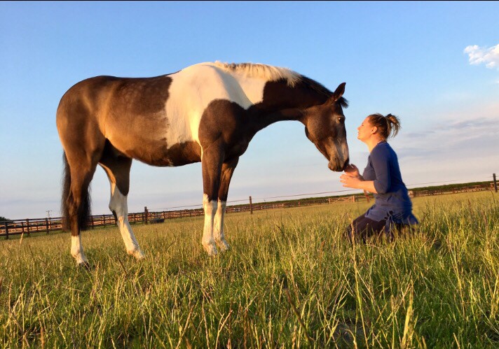 A woman knelt down in-front of a horse stroking its nose