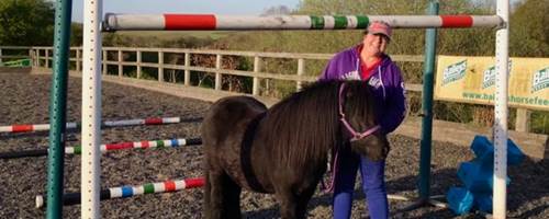 The Not-So-Secret Diary of Diva the Shetland Pony - TNSSD 26 - Lockdown