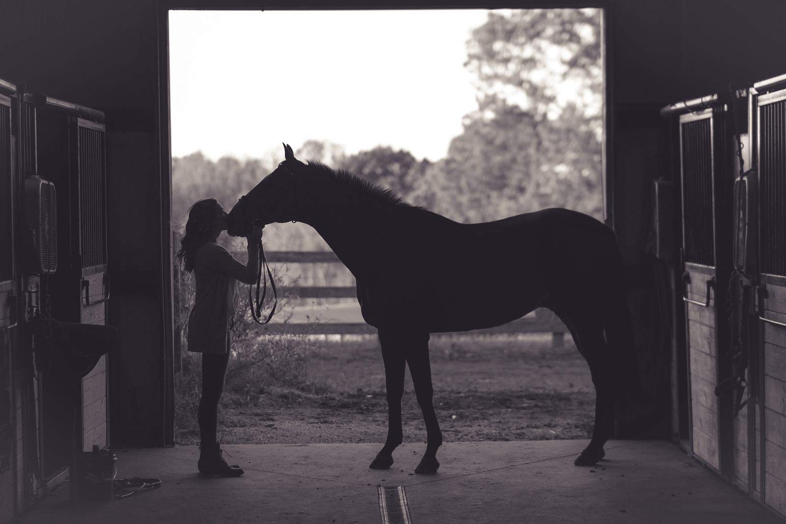 A woman kissing the nose of a horse standing in the entrance to some stables