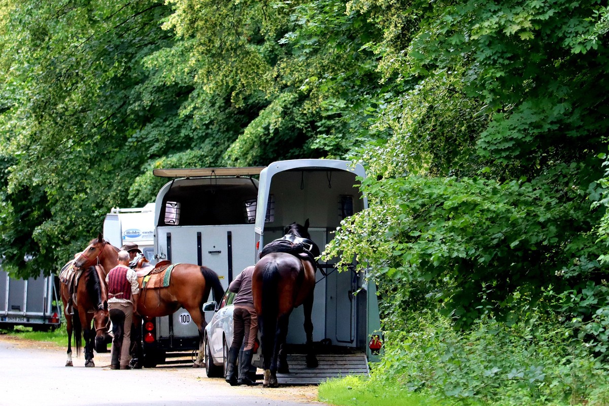 Some people loading two horses into two horse trailers