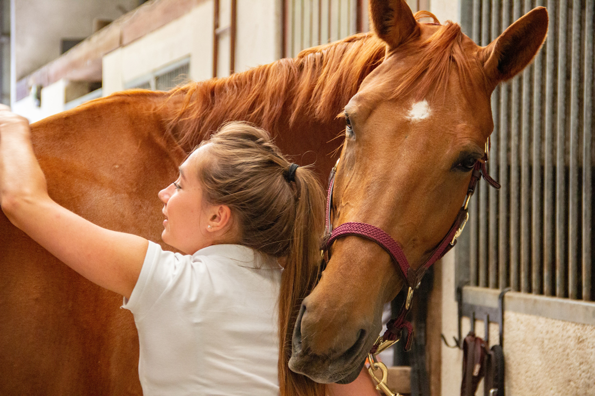 A woman brushing a horses back at its stables