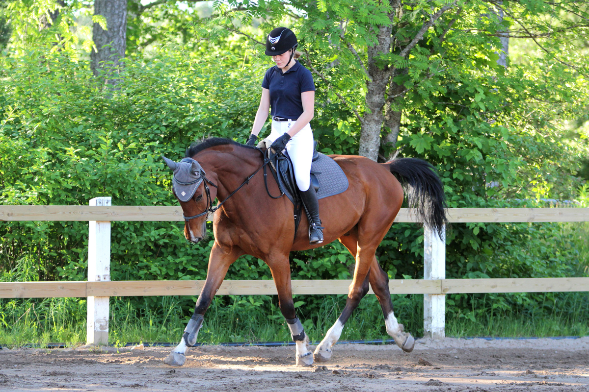 A woman riding a horse carefully around a paddock