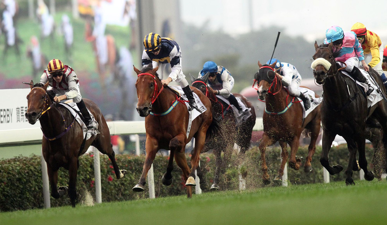 Racehorses in a group at high speed during a race