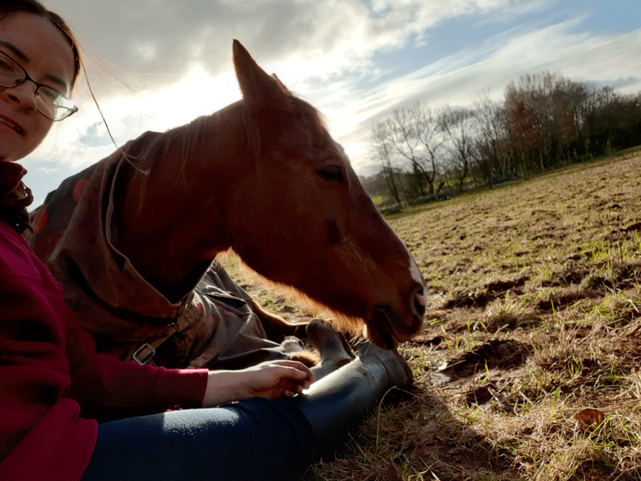 Horse selfie