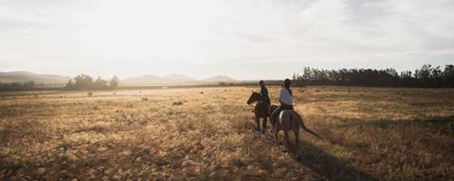 How to ride safely near livestock