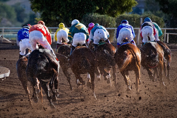 A pack of racehorses flicking up mud as they race around a course
