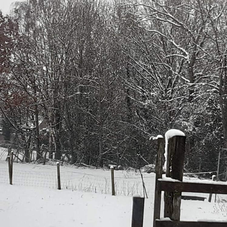 Snow