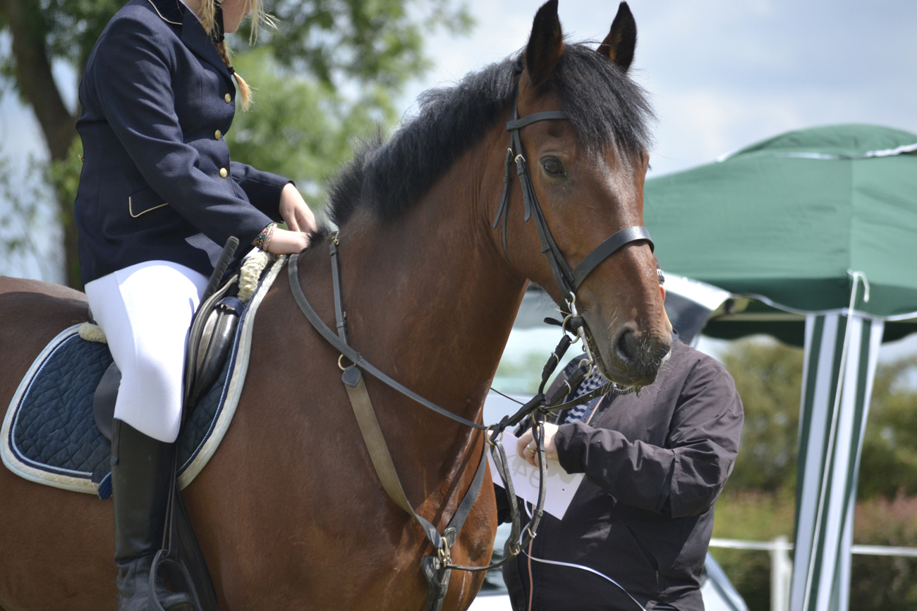 A dressage horse and rider competing