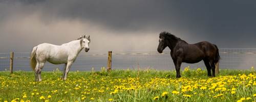 How to ride safely in a storm