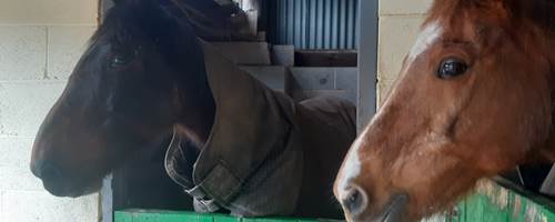 Paula's Blog - Lets get ready to ride!