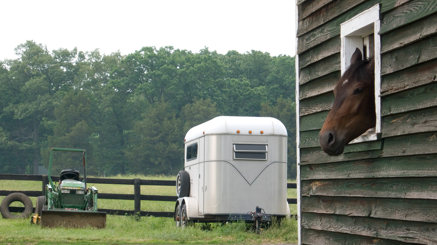 A horse sticking its head out of a stables building with a trailer parked next to the building