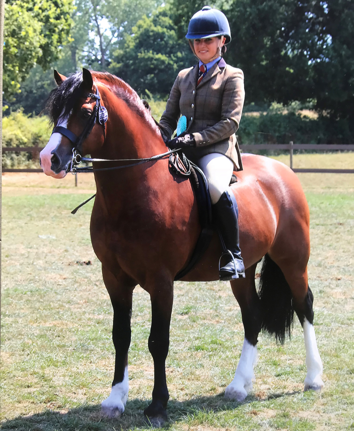 Jodie mounted on Novi standing in a field on a sunny day