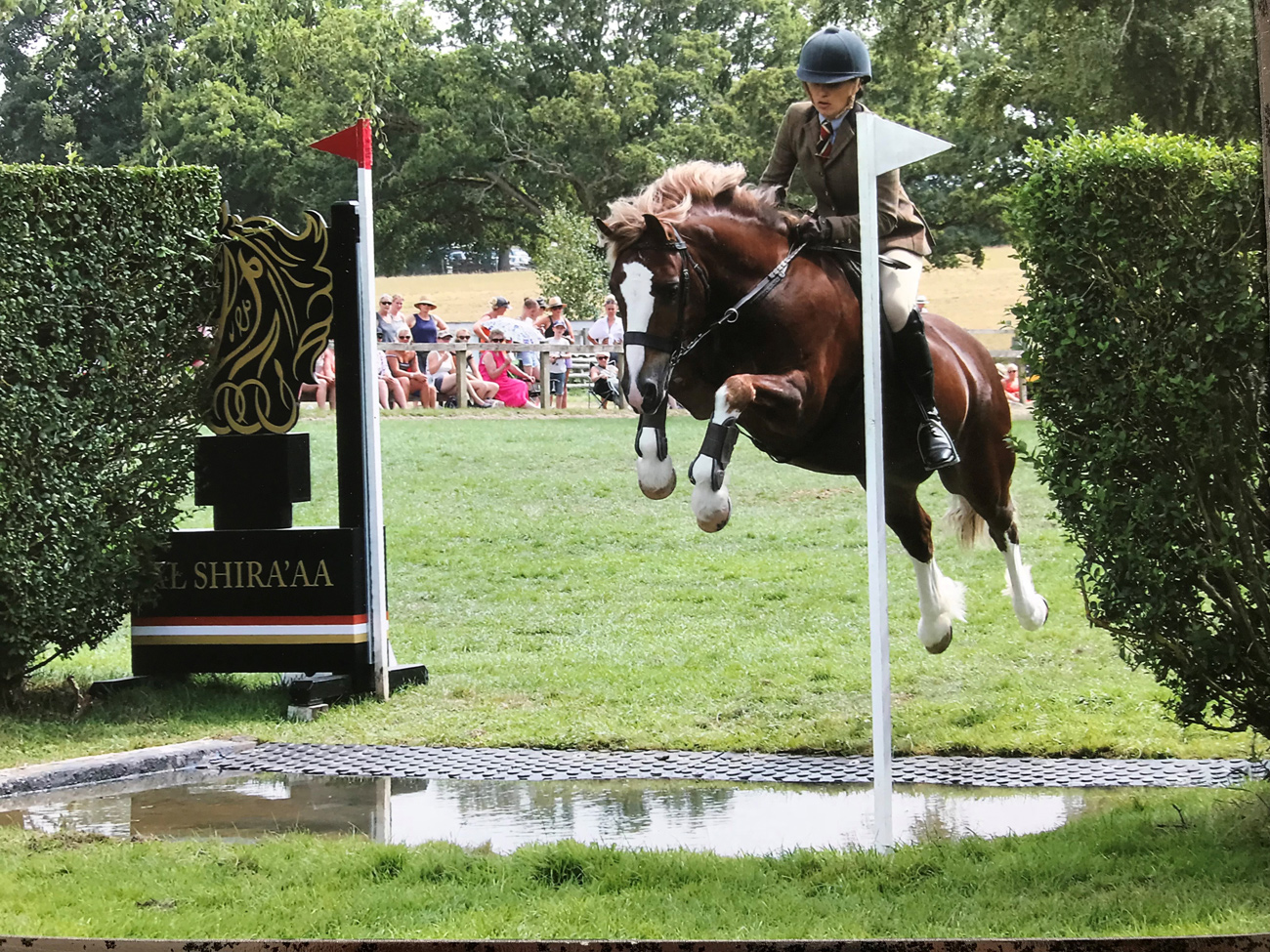 Jodie and Novi clearing a fence with water behind it during an event