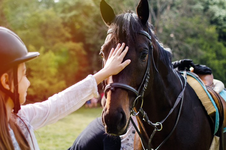 Rider caring for horse