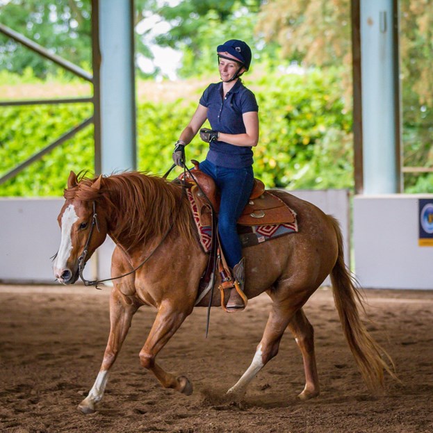 Horse Training