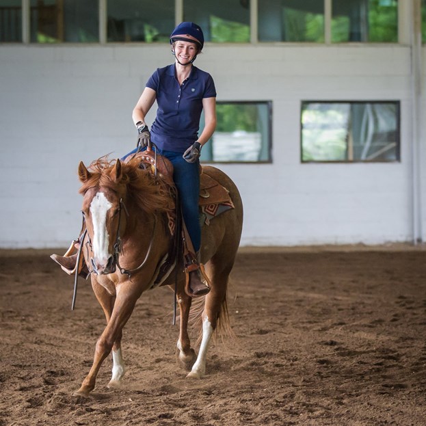 Horse Training