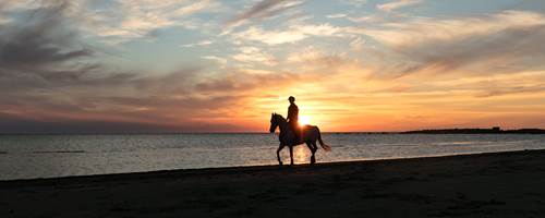 Top tips for riding a horse on a beach