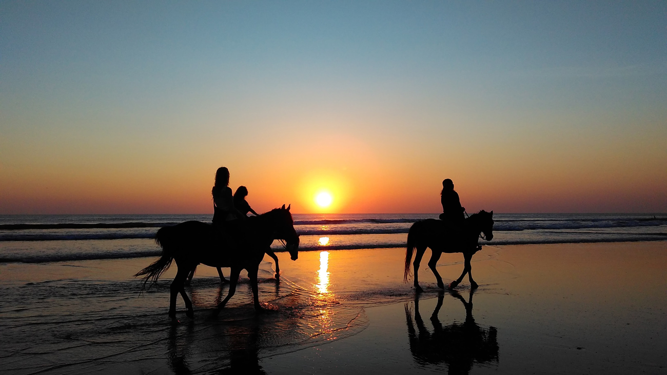 A group of horses and riders on a beach at sunset