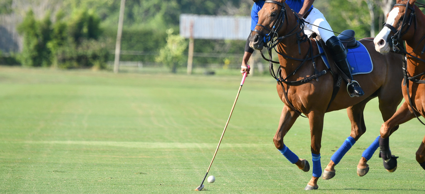 A beginner’s guide to polo