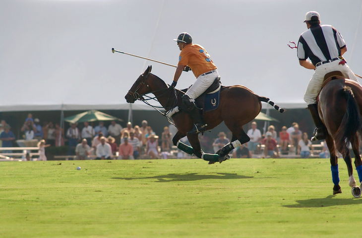 A beginner's guide to polo: How a chukka can get you hooked