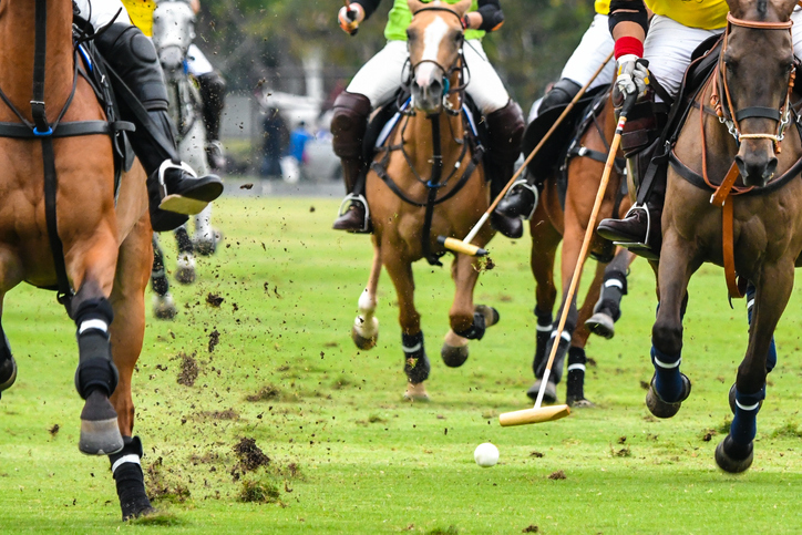 The Ultimate Polo Beginner's Guide - Tips and Strategies to Get You Started