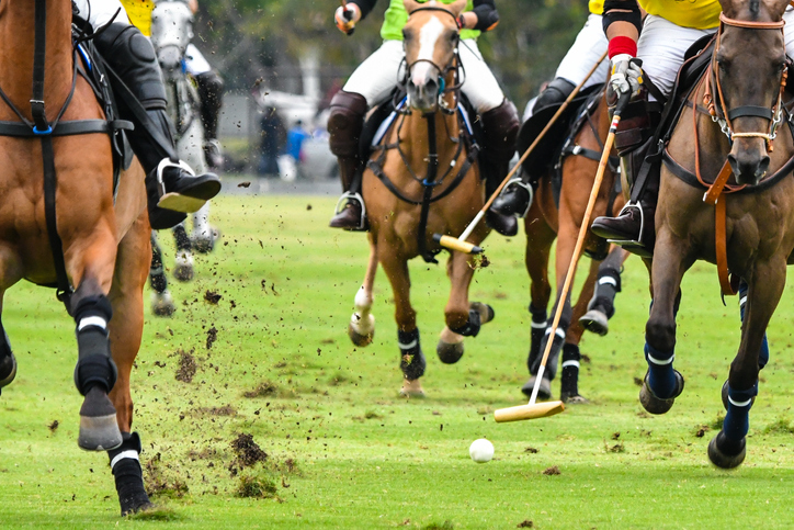 Horse Polo