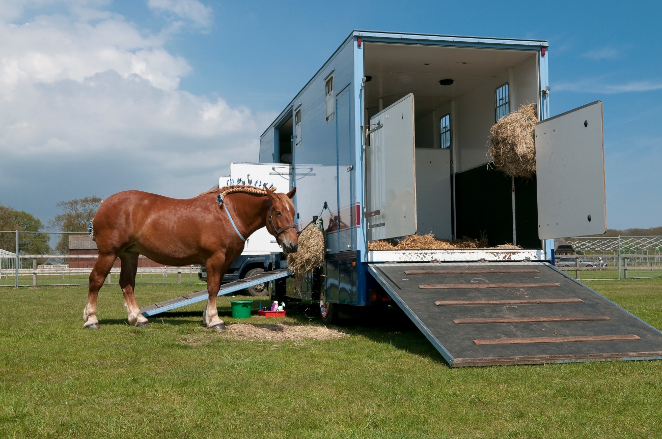 Do I need legal cover with my horsebox insurance?