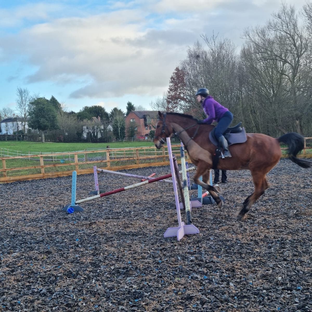 Horse training jumps