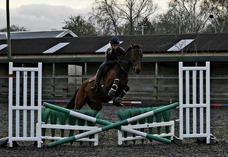 Horse jumping practice