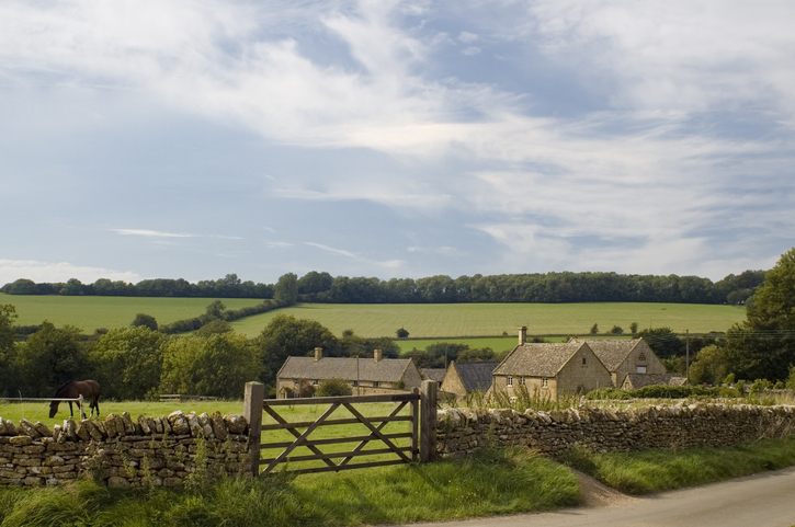 Horse yard