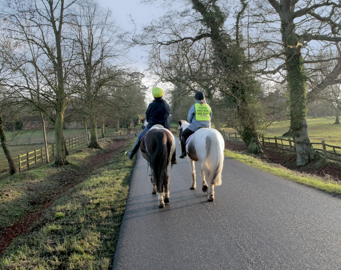 Horses on the road UK