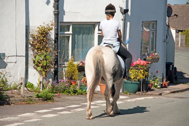 Horses riding through village