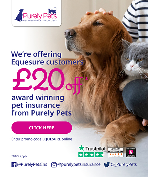 Horse Trailer Insurance Get A Quote Today Equesure