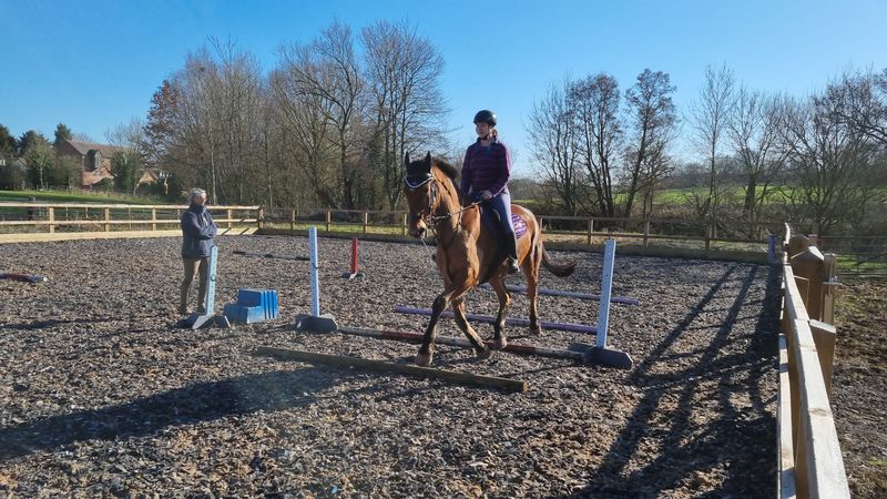 Horse training