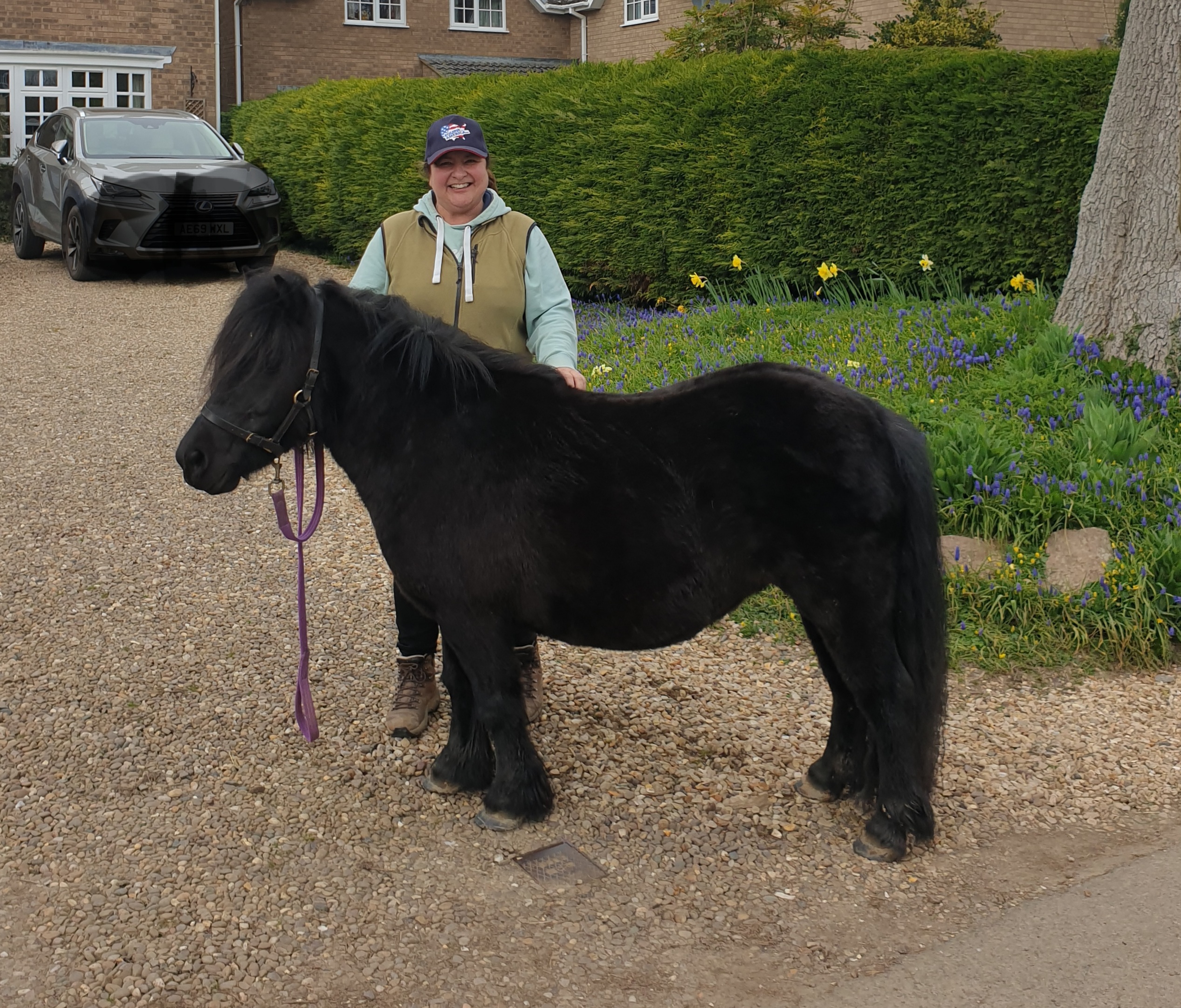 The Not-So-Secret Diary of Diva the Shetland Pony - New Routines