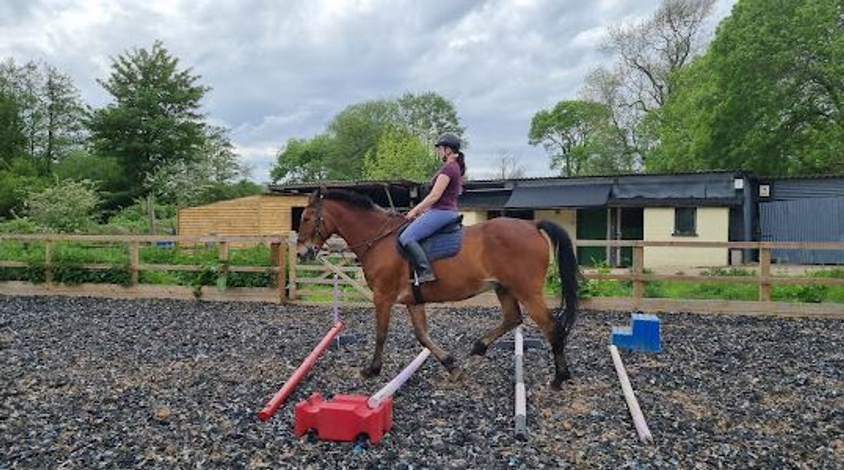 Paula's Blog - Spoilt neddies again