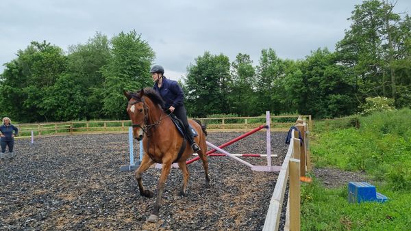 Horse training