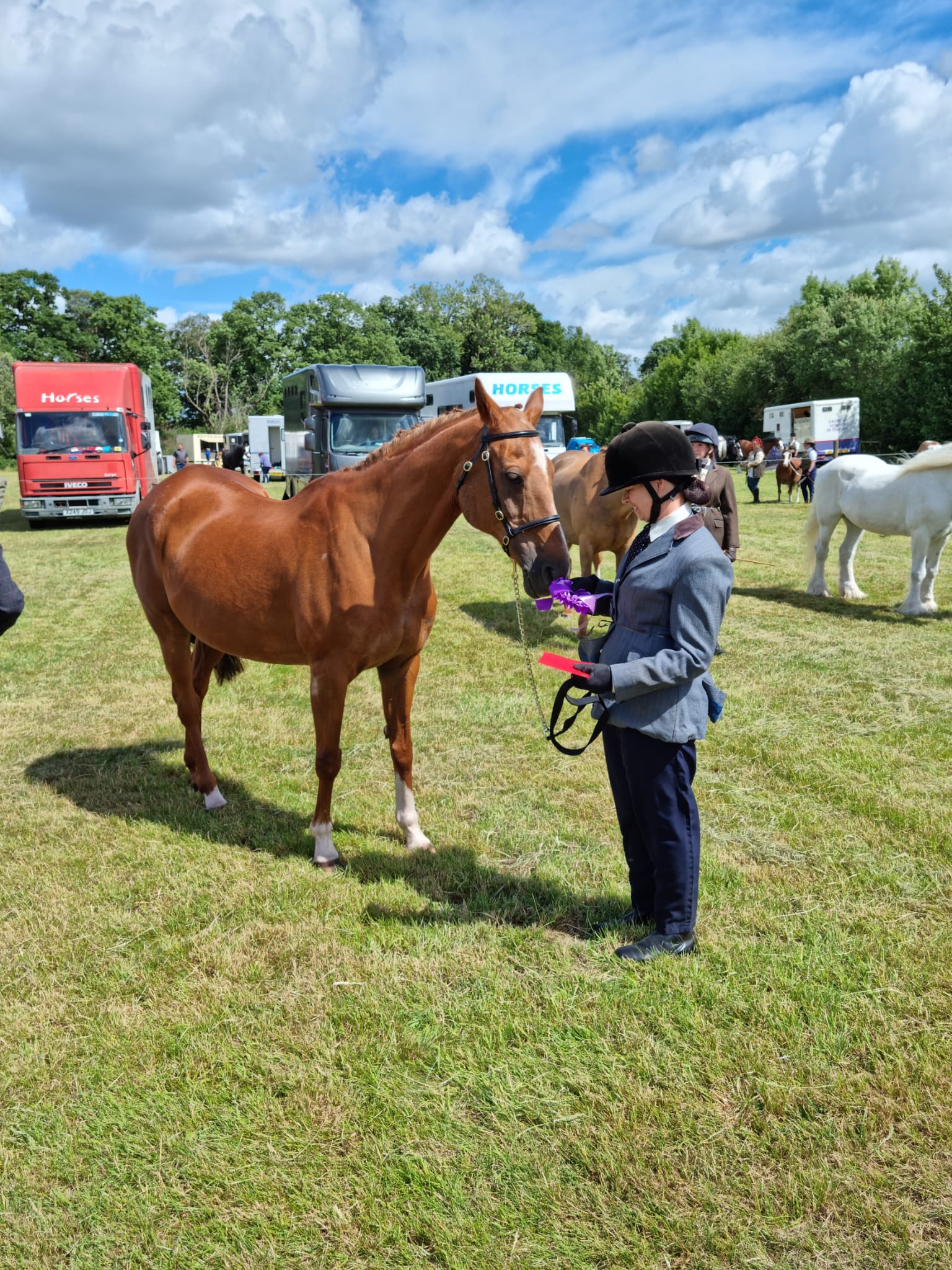 Horse at show