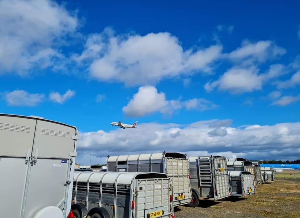 Plane and horse boxes