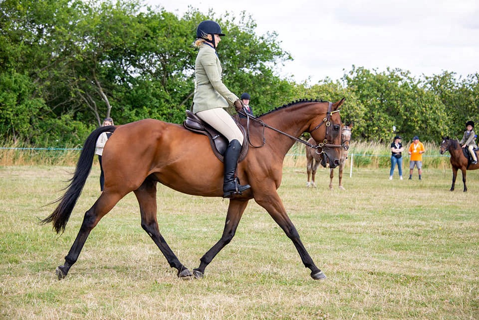 Woman riding horse