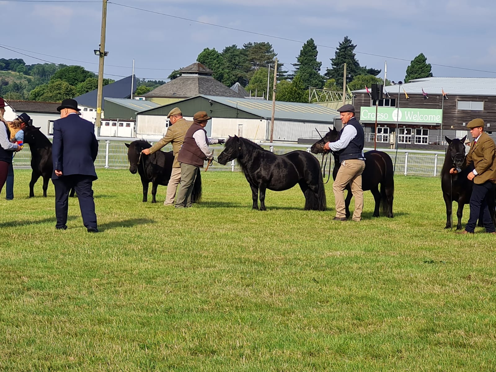 Horses lining up